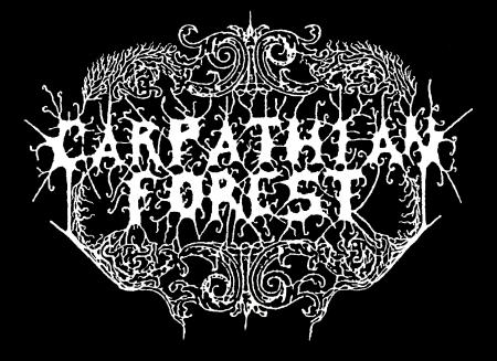 carpathian forest